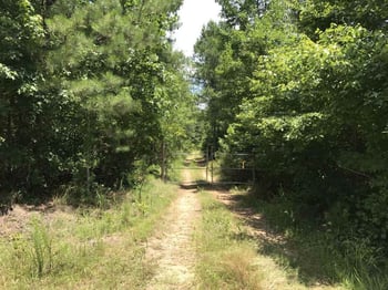 Plank Rd Lot none, Sanford, NC 27330