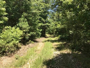 Plank Rd Lot none, Sanford, NC 27330