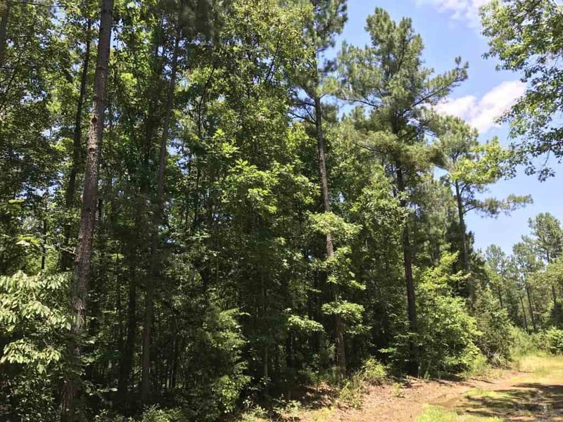 Plank Rd Lot none, Sanford, NC 27330