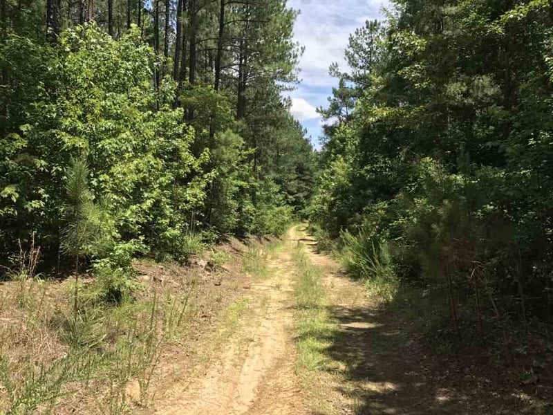 Plank Rd Lot none, Sanford, NC 27330