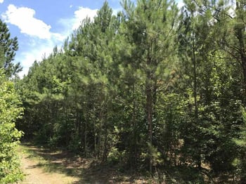 Plank Rd Lot none, Sanford, NC 27330