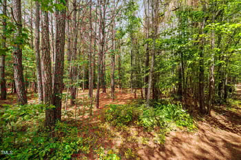 0 Plank Rd, Sanford, NC 27330