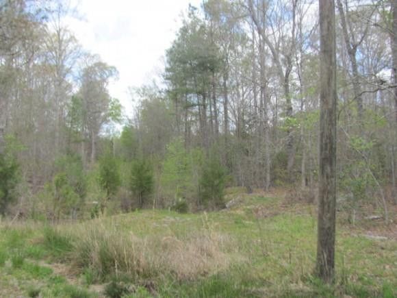 0 Plank Rd, Sanford, NC 27332