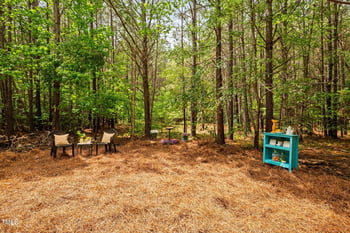 Plank Rd #Track 2, Sanford, NC 27330