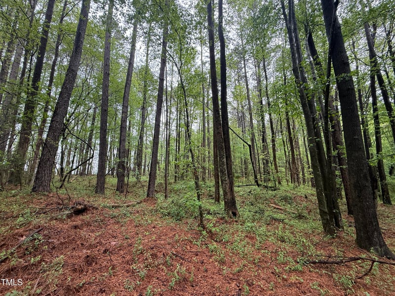 0 Poker Shake Ln, Louisburg, NC 27549