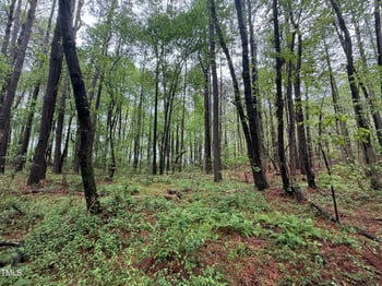 Poker Shake Ln, Louisburg, NC 27549