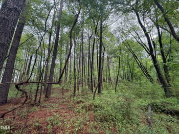 Poker Shake Ln, Louisburg, NC 27549