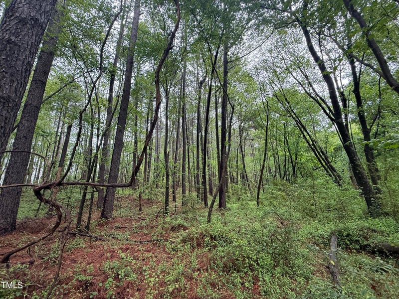 0 Poker Shake Ln, Louisburg, NC 27549