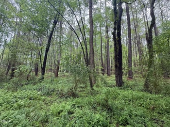 0 Poker Shake Ln, Louisburg, NC 27549