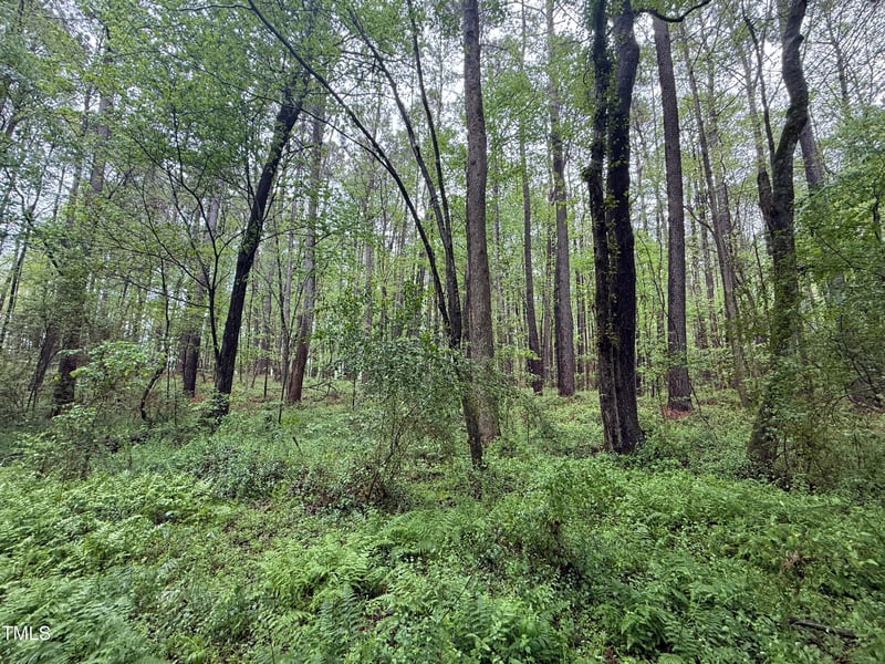 0 Poker Shake Ln, Louisburg, NC 27549