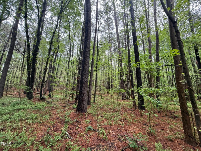 0 Poker Shake Ln, Louisburg, NC 27549