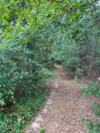 Powhatan Rd Lot Tract 3, Clayton, NC 27527