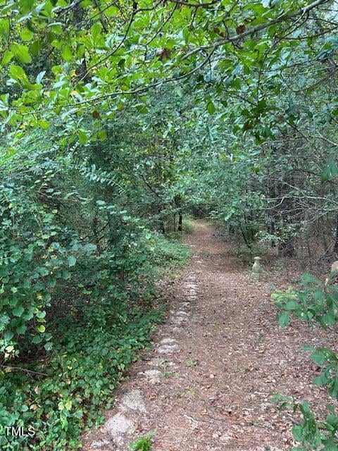 Powhatan Rd Lot Tract 3, Clayton, NC 27527