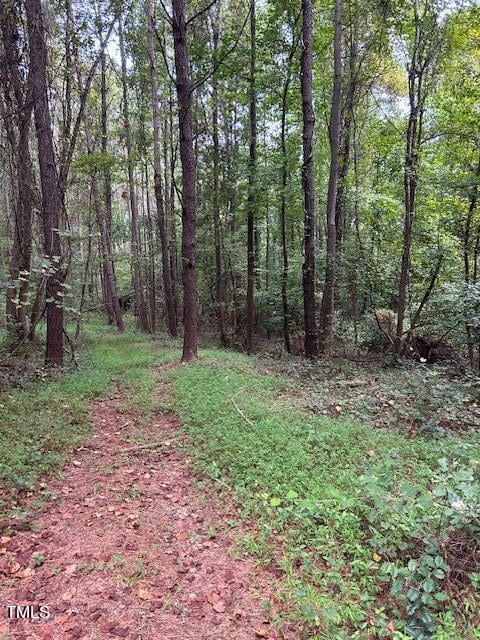 Powhatan Rd Lot Tract 3, Clayton, NC 27527