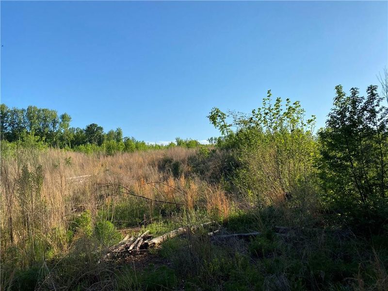 0 Preacher Davis Rd, Haw River, NC 27248