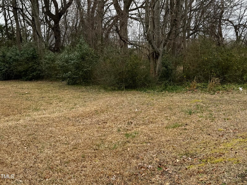 Preston St, Selma, NC 27576