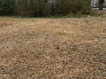 Preston St, Selma, NC 27576