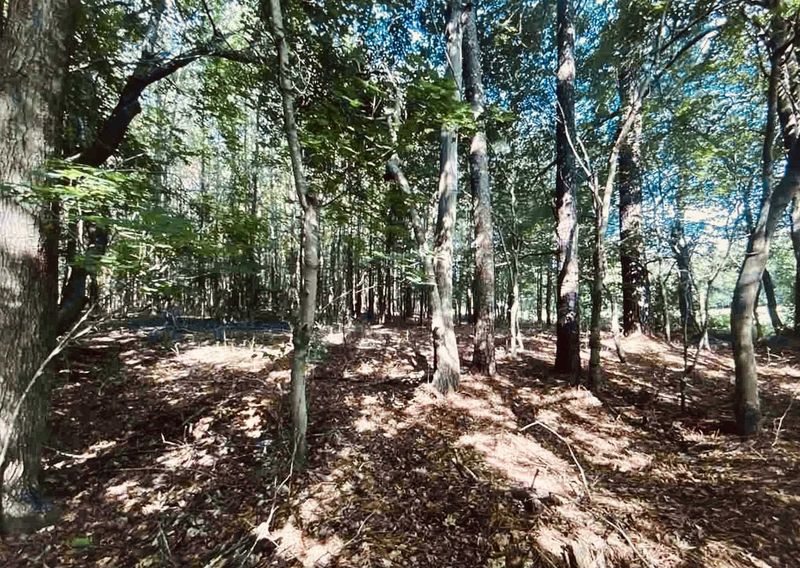 0 Purnell Rd, Wake Forest, NC 27587