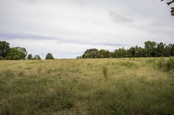 0 R E Wright Rd Lot 2, Snow Camp, NC 27349