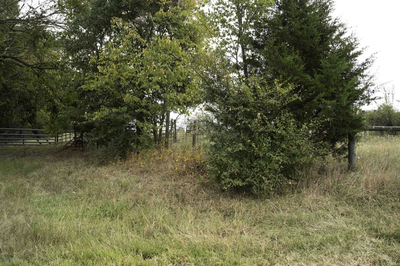 0 R E Wright Rd Lot 2, Snow Camp, NC 27349