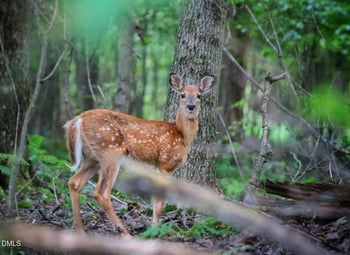 R Jordan Rd, Sanford, NC 27330