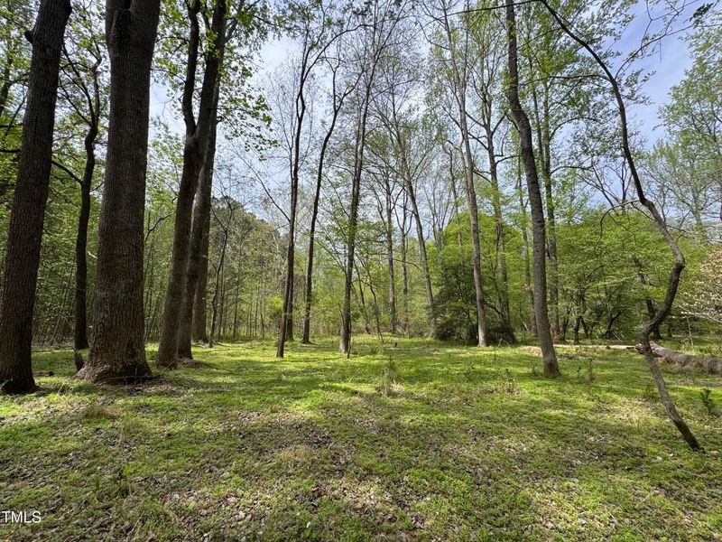 0 Rabbit Rn, Wake Forest, NC 27587