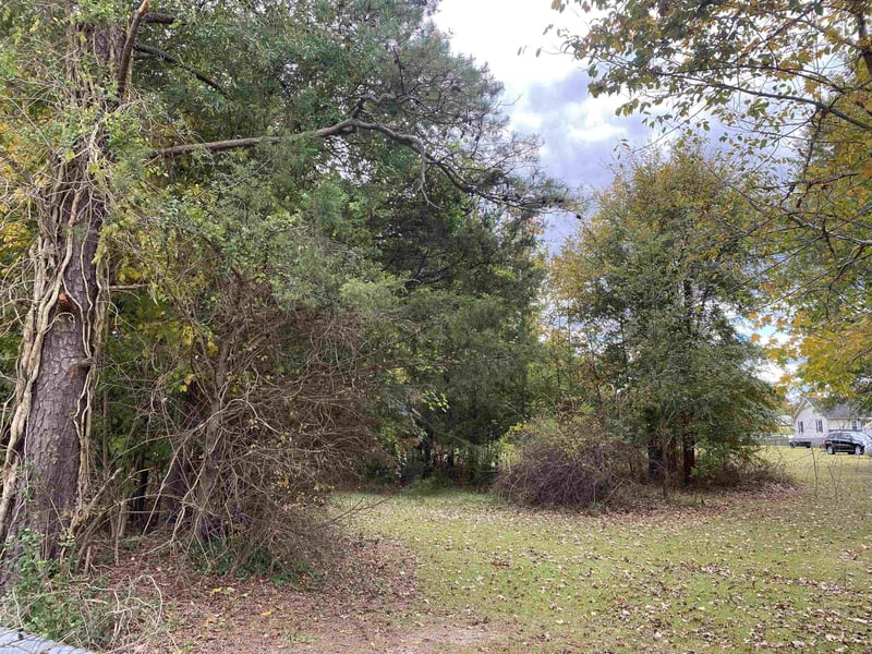 0 E Raleigh Ave Lot 3, Liberty, NC 27298