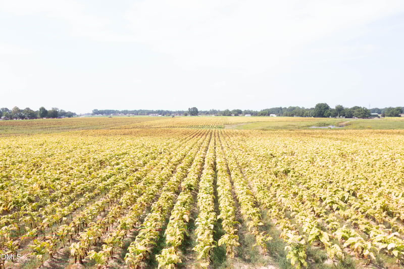 0 Red Hill Church Rd, Dunn, NC 28334