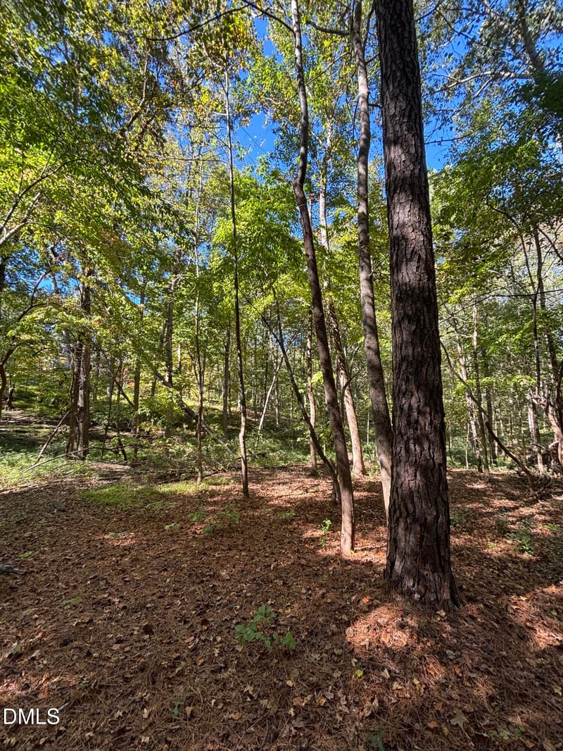 0 Reedy Creek Rd, Cary, NC 27513