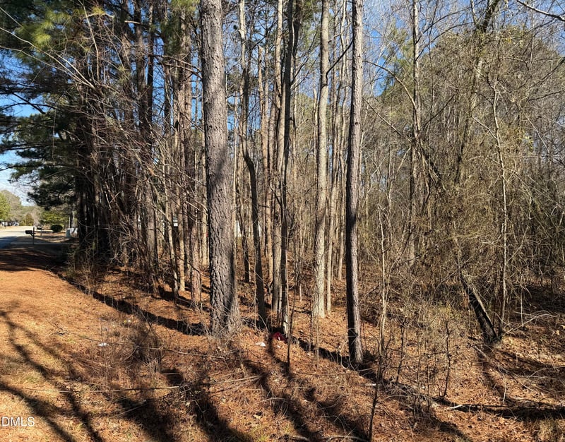 Rhodes Rd Lot 6, Apex, NC 27539