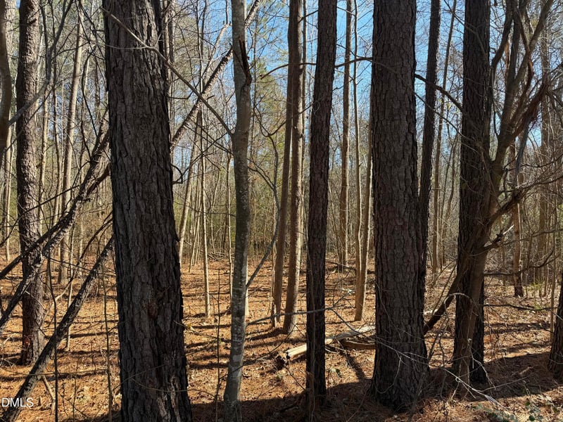 Rhodes Rd Lot 6, Apex, NC 27539