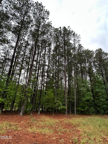 River Rd, Franklinton, NC 27525