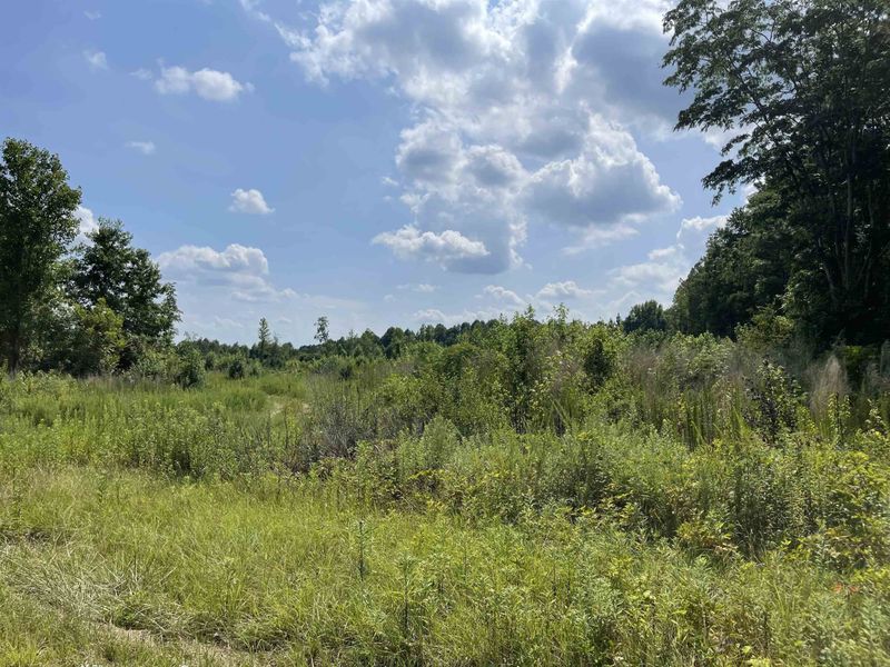 0 Rock Pillar Rd, Clayton, NC 27520