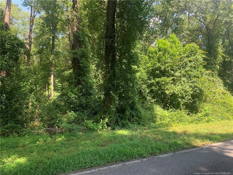 0 Rocky Fork Church Rd, Sanford, NC 27330