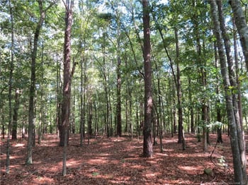 Rocky Fork Church Rd, Sanford, NC 27332