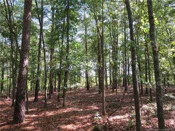 Rocky Fork Church Rd, Sanford, NC 27332