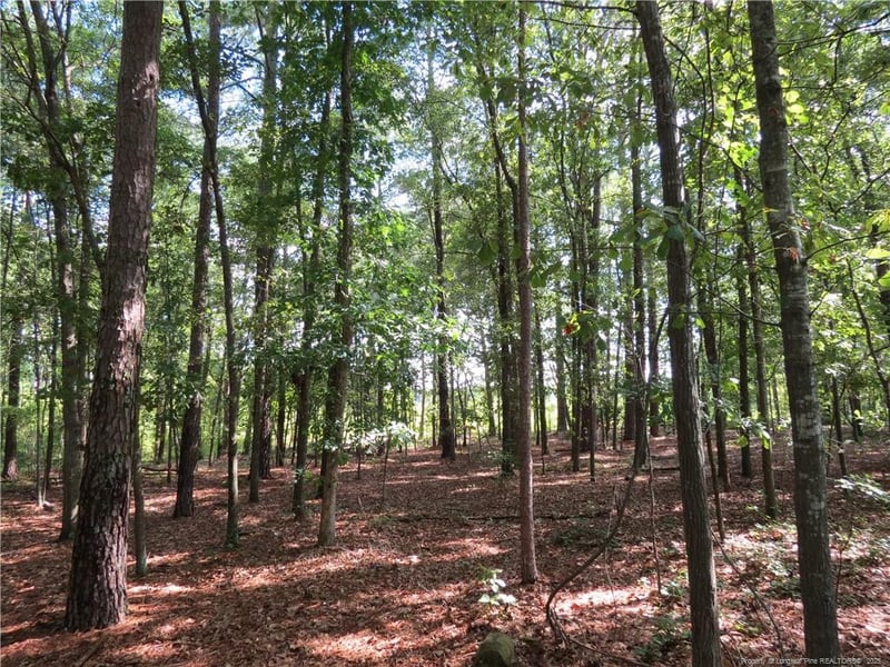0 Rocky Fork Church Rd, Sanford, NC 27332