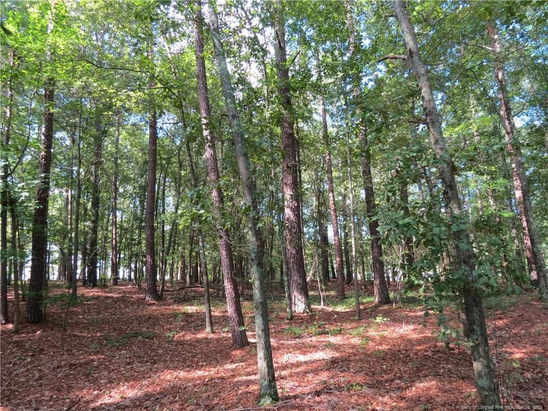 0 Rocky Fork Church Rd, Sanford, NC 27332