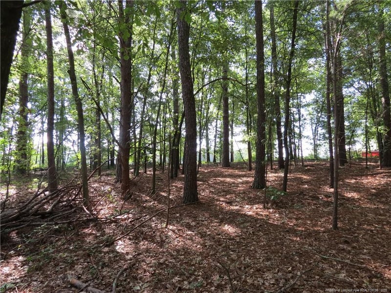 0 Rocky Fork Church Rd, Sanford, NC 27332