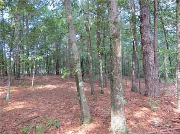 Rocky Fork Church Rd, Sanford, NC 27332