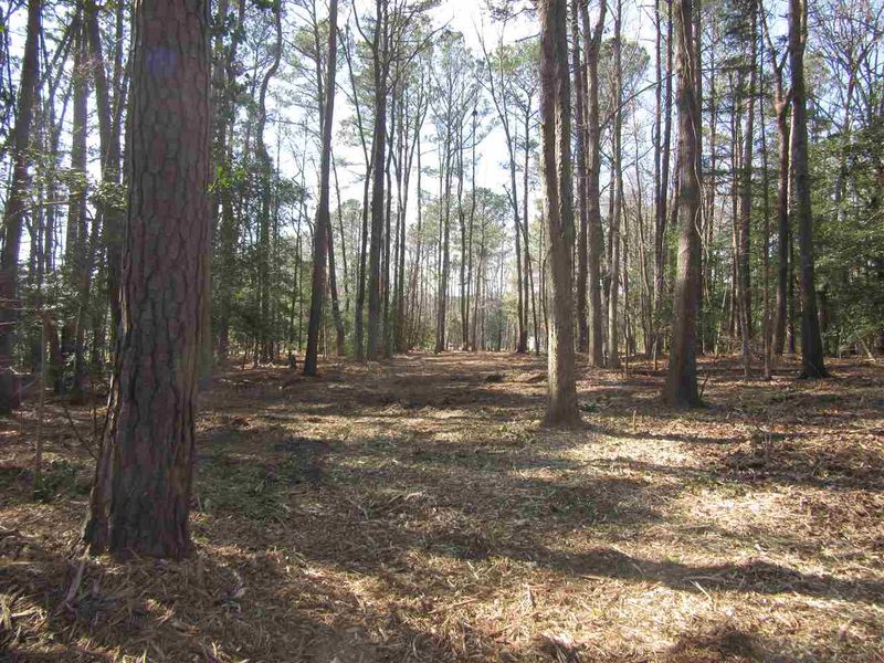 0 Rogers Rd, Zebulon, NC 27597