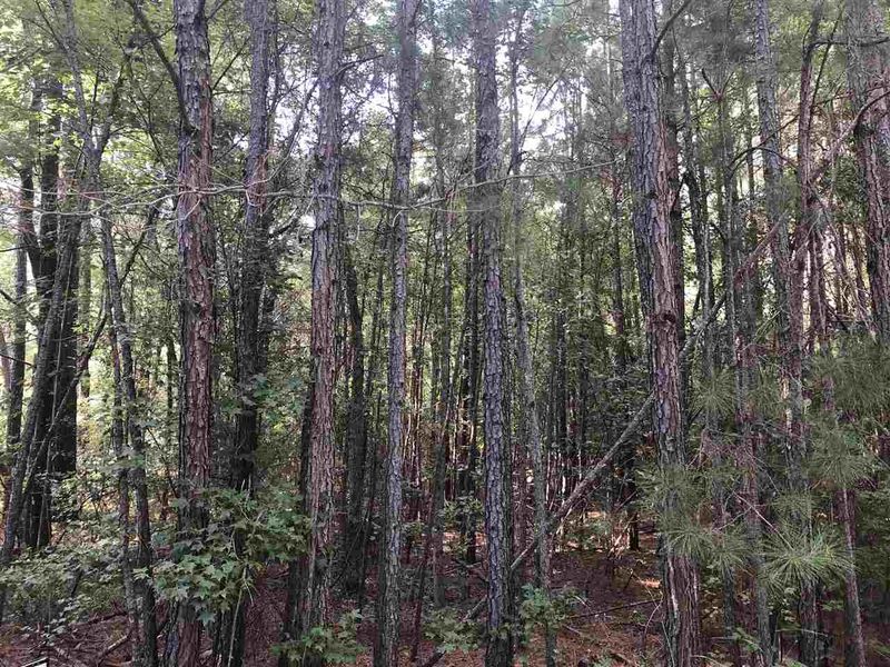 0 Rubert Ave, Clayton, NC 27520