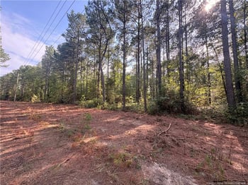0 S Plank Rd, Sanford, NC 27330