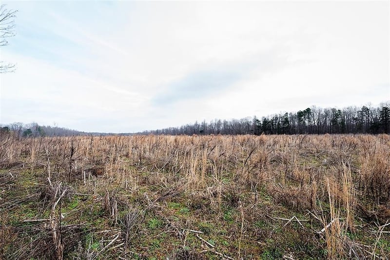 Saddle Club Rd, Mebane, NC 27302