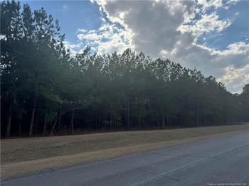 Saddlebred Ln, Raeford, NC 28376