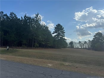 Saddlebred Ln, Raeford, NC 28376