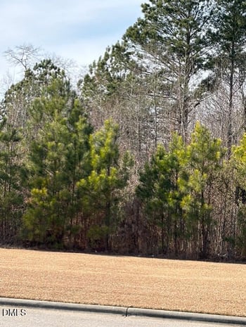 Saint Matthews Rd, Erwin, NC 28339