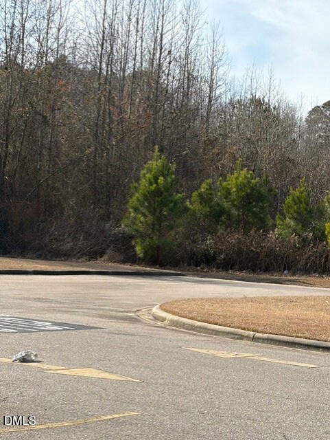 Saint Matthews Rd, Erwin, NC 28339