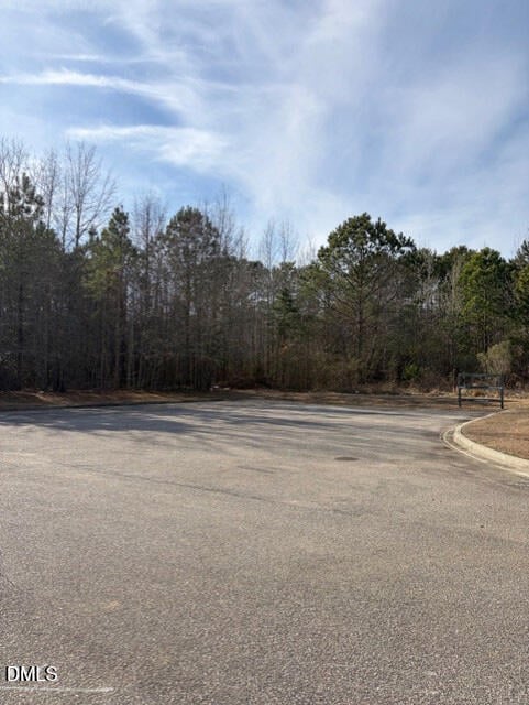 Saint Matthews Rd, Erwin, NC 28339