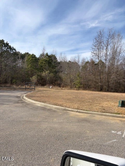 Saint Matthews Rd, Erwin, NC 28339